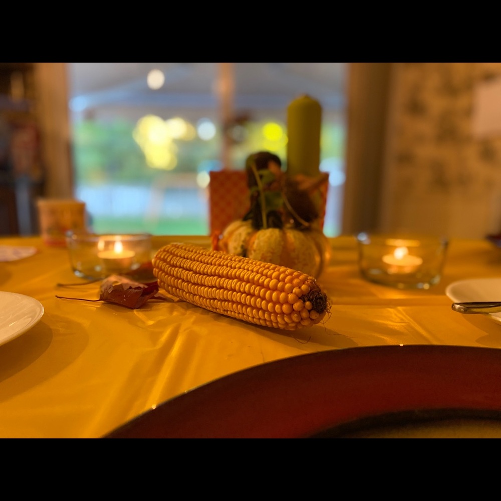 Meet your Posher, Shelley